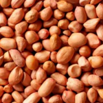Groundnuts